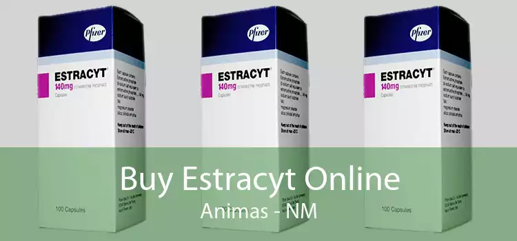 Buy Estracyt Online Animas - NM