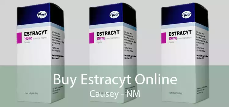 Buy Estracyt Online Causey - NM